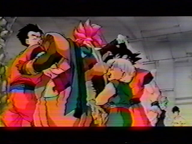 Dragonball Z Movie 13 (57).jpg